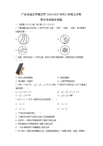 广东省湛江市廉江市2024-2025学年八年级上学期期中考试数学试卷（学生版）