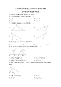 江西省南昌市东湖区2024-2025学年八年级上学期期中考试数学试卷（学生版）