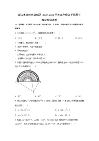 浙江省杭州市上城区2025-2026学年九年级上学期期中模拟 数学试卷（学生版）