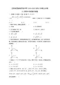 江西省景德镇市乐平市2024-2025学年八年级上学期11月期中考试数学试卷（学生版）