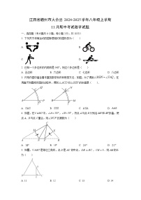 江西省赣州市大余县2024-2025学年八年级上学期11月期中考试数学试卷（学生版）