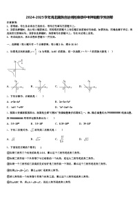 2024-2025学年海北藏族自治州刚察县中考押题数学预测卷含解析