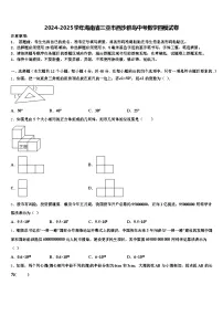 2024-2025学年海南省三亚市西沙群岛中考数学四模试卷含解析