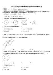 2024-2025学年杭州市桐庐县中考适应性考试数学试题含解析