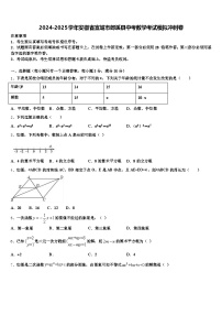 2024-2025学年安徽省宣城市郎溪县中考数学考试模拟冲刺卷含解析