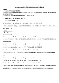 2024-2025学年白银市景泰县中考数学模试卷含解析