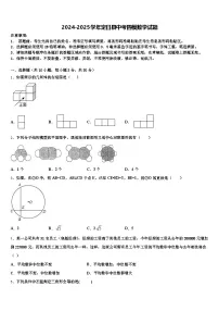 2024-2025学年定日县中考四模数学试题含解析