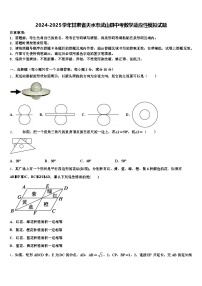 2024-2025学年甘肃省天水市武山县中考数学适应性模拟试题含解析
