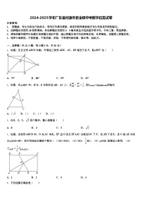 2024-2025学年广东省河源市紫金县中考数学仿真试卷含解析