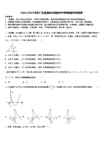2024-2025学年广东省清远市英德市中考押题数学预测卷含解析