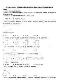 2024-2025学年贵州省黔东南苗族侗族自治州凯里市中考数学模拟精编试卷含解析