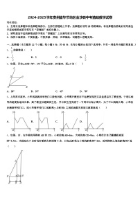 2024-2025学年贵州省毕节地区金沙县中考猜题数学试卷含解析