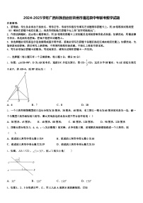 2024-2025学年广西壮族自治区钦州市浦北县中考联考数学试题含解析