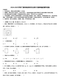 2024-2025学年广西壮族百色市乐业县十校联考最后数学试题含解析