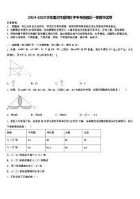 2024-2025学年黑河市爱辉区中考考前最后一卷数学试卷含解析