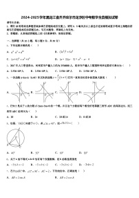 2024-2025学年黑龙江省齐齐哈尔市龙沙区中考数学全真模拟试卷含解析
