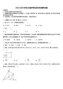 2024-2025学年江苏省中考适应性考试数学试题含解析