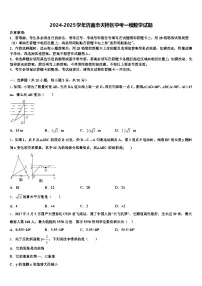 2024-2025学年济南市天桥区中考一模数学试题含解析