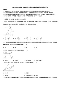 2024-2025学年双鸭山市宝山区中考数学适应性模拟试题含解析