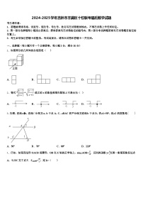 2024-2025学年吉林市丰满区十校联考最后数学试题含解析