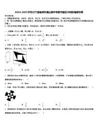 2024-2025学年辽宁省锦州市黑山县中考数学最后冲刺浓缩精华卷含解析