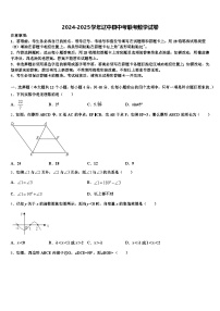 2024-2025学年辽中县中考联考数学试卷含解析