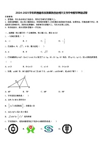 2024-2025学年黔西南布依族苗族自治州兴义市中考数学押题试卷含解析