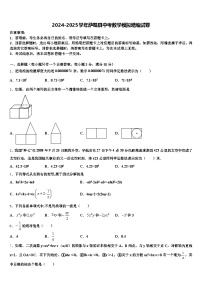 2024-2025学年萨嘎县中考数学模拟精编试卷含解析