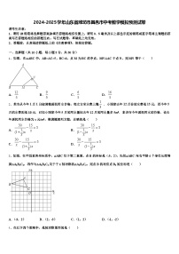 2024-2025学年山东省潍坊市昌邑市中考数学模拟预测试卷含解析