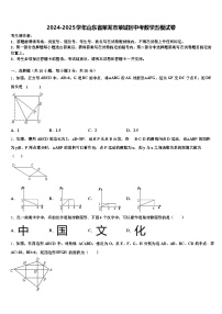 2024-2025学年山东省莱芜市莱城区中考数学五模试卷含解析