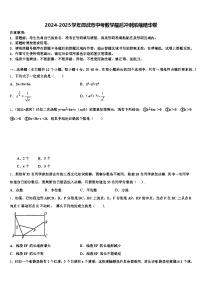 2024-2025学年邵武市中考数学最后冲刺浓缩精华卷含解析