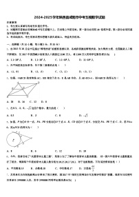 2024-2025学年陕西省咸阳市中考五模数学试题含解析