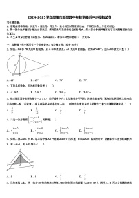 2024-2025学年邵阳市新邵县中考数学最后冲刺模拟试卷含解析