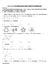 2024-2025学年山西省吕梁地区汾阳市中考数学对点突破模拟试卷含解析