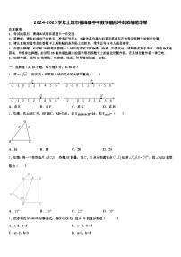 2024-2025学年上饶市横峰县中考数学最后冲刺浓缩精华卷含解析