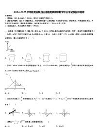 2024-2025学年临夏回族自治州临夏县初中数学毕业考试模拟冲刺卷含解析
