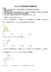 2024-2025学年镇坪县中考五模数学试题含解析