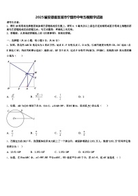 2025届安徽省宣城市宁国市中考五模数学试题含解析