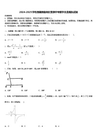 2024-2025学年西藏那曲地区索县中考数学全真模拟试题含解析