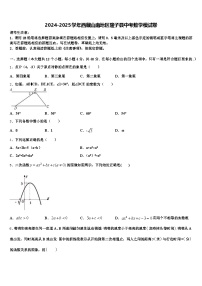2024-2025学年西藏山南地区隆子县中考数学模试卷含解析