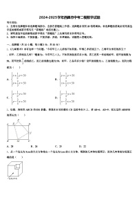 2024-2025学年西昌市中考二模数学试题含解析