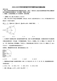2024-2025学年忻州市原平市中考数学适应性模拟试题含解析