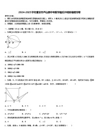 2024-2025学年雅安市芦山县中考数学最后冲刺浓缩精华卷含解析