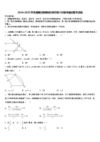2024-2025学年西藏日喀则地区岗巴县十校联考最后数学试题含解析