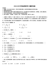 2024-2025学年盐津县中考二模数学试题含解析