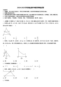 2024-2025学年砚山县中考数学押题试卷含解析