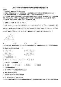 2024-2025学年伊春市汤旺河区中考数学考前最后一卷含解析