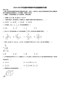 2024-2025学年宜春市奉新县中考试题猜想数学试卷含解析