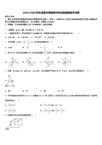 2024-2025学年宜春市奉新县中考试题猜想数学试卷含解析