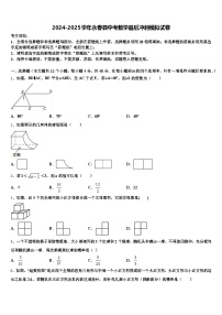 2024-2025学年永春县中考数学最后冲刺模拟试卷含解析